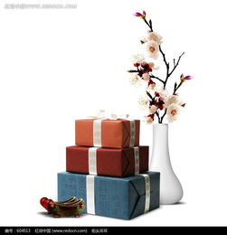 梅花禮品psd素材免費(fèi)下載 編號(hào)604513 紅動(dòng)網(wǎng)